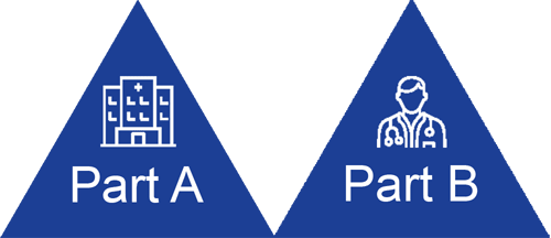 Diagram of a pyramid composed of Part A, Part B, Part D, and Medicare Supplement, with Medicare Supplement highlighted